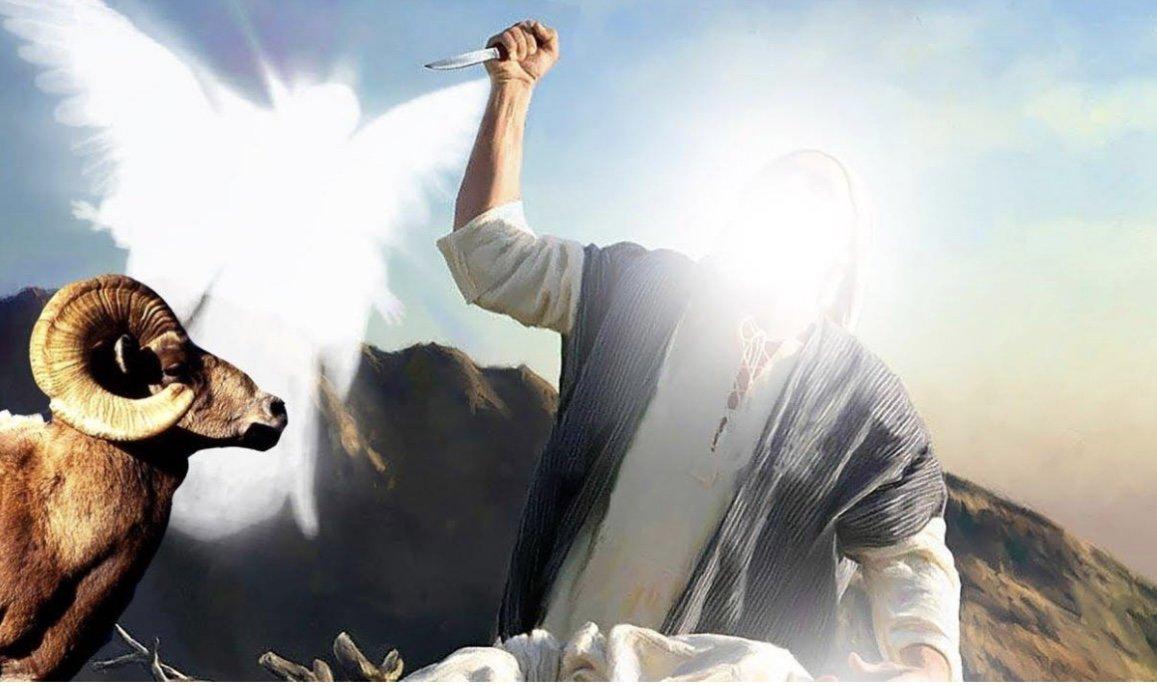 IMG